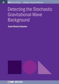 bokomslag Detecting the Stochastic Gravitational-Wave Background