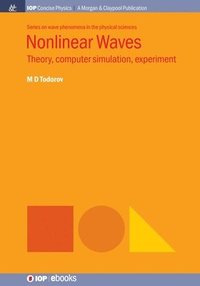 bokomslag Nonlinear Waves