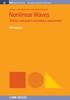 bokomslag Nonlinear Waves