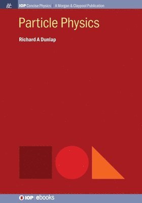 bokomslag Particle Physics