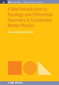 bokomslag Brief Introduction to Topology and Differential Geometry in Condensed Matter Physics