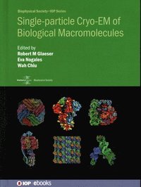 bokomslag Single-particle Cryo-EM of Biological Macromolecules