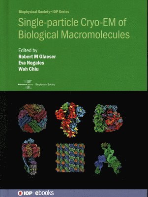 Single-particle Cryo-EM of Biological Macromolecules 1