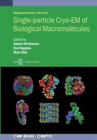 bokomslag Single-particle Cryo-EM of Biological Macromolecules