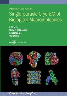 Robert M Glaeser, Eva Nogales, Wah Chiu - Single-particle Cryo-EM of Biological Macromolecules, Häftad