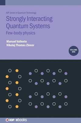 Strongly Interacting Quantum Systems, Volume 1 1