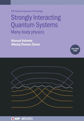 Strongly Interacting Quantum Systems, Volume 2 1