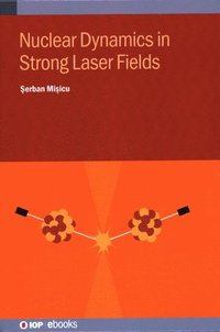 bokomslag Nuclear Dynamics in Strong Laser Fields