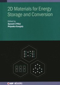 bokomslag 2D Materials for Energy Storage and Conversion