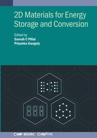 bokomslag 2D Materials for Energy Storage and Conversion