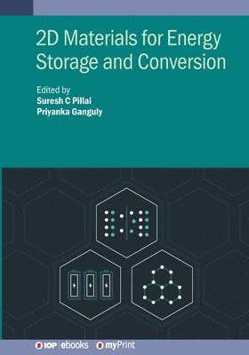 Suresh C Pillai, Priyanka Ganguly - 2D Materials for Energy Storage and Conversion, Häftad