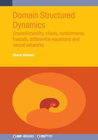 bokomslag Domain Structured Dynamics