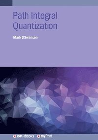 bokomslag Path Integral Quantization