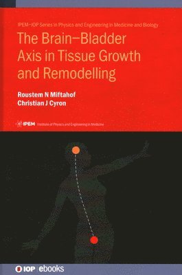 The BrainBladder Axis in Tissue Growth and Remodelling 1