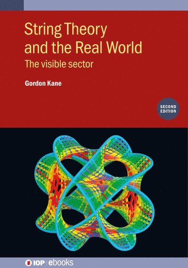 bokomslag String Theory and the Real World (Second Edition)