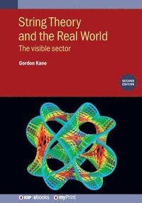 bokomslag String Theory and the Real World (Second Edition)