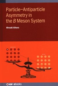 bokomslag Particle-Antiparticle Asymmetry in the    Meson System