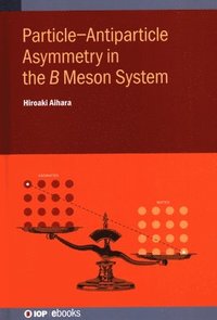 bokomslag Particle-Antiparticle Asymmetry in the ? Meson System