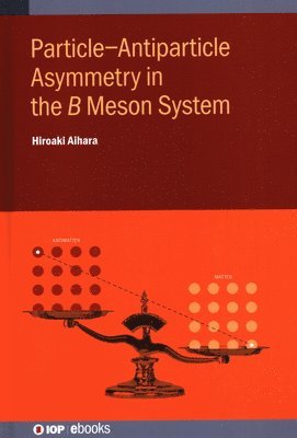bokomslag Particle-Antiparticle Asymmetry in the ? Meson System
