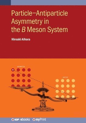 bokomslag Particle-Antiparticle Asymmetry in the    Meson System