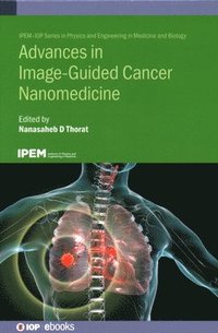 bokomslag Advances in Image-Guided Cancer Nanomedicine