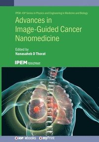 bokomslag Advances in Image-Guided Cancer Nanomedicine