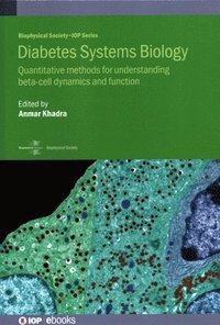 bokomslag Diabetes Systems Biology