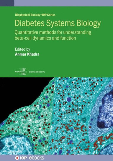 bokomslag Diabetes Systems Biology