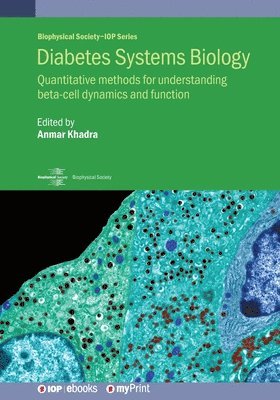 bokomslag Diabetes Systems Biology