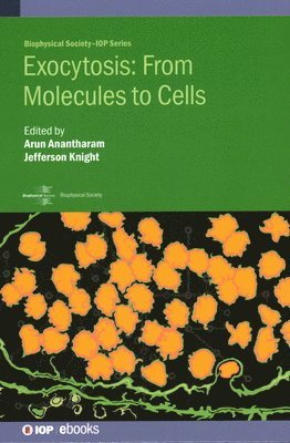 bokomslag Exocytosis: From Molecules to Cells