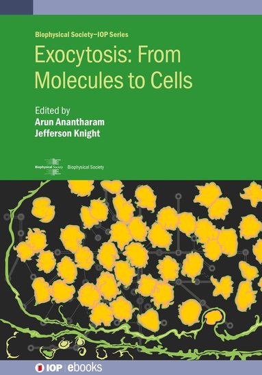 bokomslag Exocytosis: From Molecules to Cells