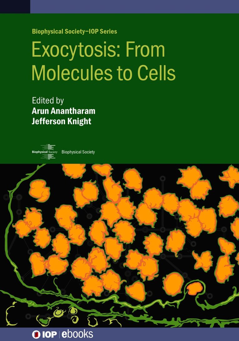 Exocytosis: From Molecules to Cells