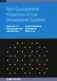bokomslag Rich Quasiparticle Properties of Low Dimensional Systems