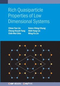 bokomslag Rich Quasiparticle Properties of Low Dimensional Systems