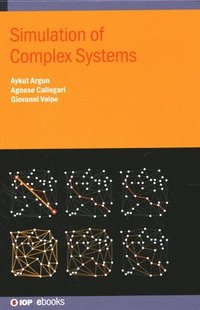 bokomslag Simulation of Complex Systems