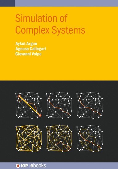 bokomslag Simulation of Complex Systems