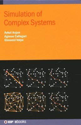 Giovanni Volpe, Agnese Callegari, Aykut Argun, Professor Giovanni (University of Gothenburg) Volpe, Dr Agnese (University of Gothenburg) Callegari, Mr Aykut (University of Gothenburg) Argun, Professor Giovanni Volpe, Dr Agnese Callegari - Simulation of Complex Systems, Inbunden