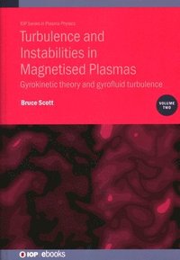 bokomslag Turbulence and Instabilities in Magnetised Plasmas, Volume 2