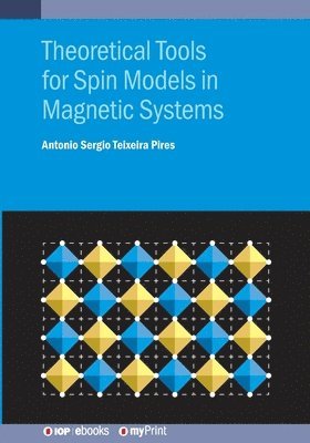 bokomslag Theoretical Tools for Spin Models in Magnetic Systems