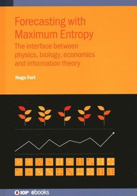 bokomslag Forecasting with Maximum Entropy