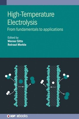 bokomslag High-Temperature Electrolysis