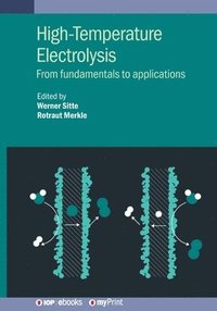 bokomslag High-Temperature Electrolysis