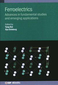 bokomslag Ferroelectrics