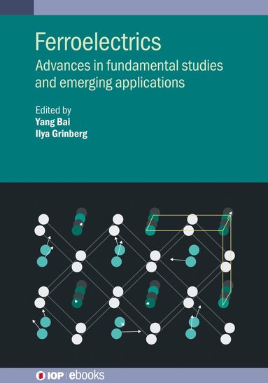 Yang Bai, Ilya Grinberg, Yang Bai, Ilya Grinberg - Ferroelectrics, Inbunden