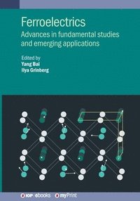 bokomslag Ferroelectrics