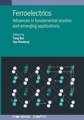 Yang Bai, Ilya Grinberg - Ferroelectrics, Häftad