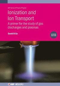 bokomslag Ionization and Ion Transport (Second Edition)