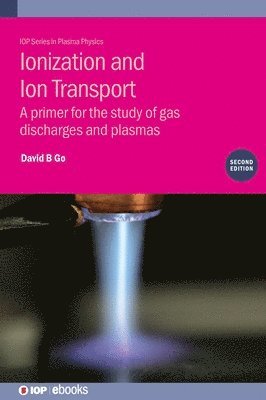 bokomslag Ionization and Ion Transport (Second Edition)