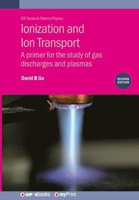 bokomslag Ionization and Ion Transport (Second Edition)