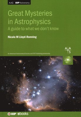 bokomslag Great Mysteries in Astrophysics